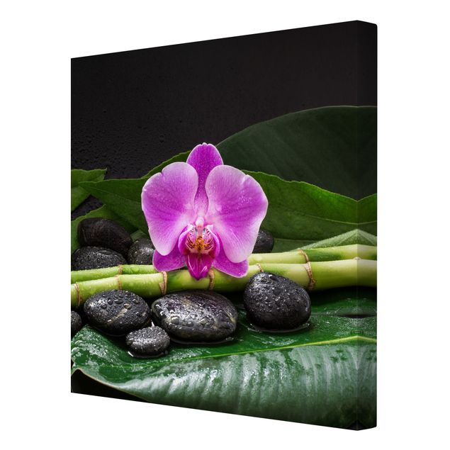 Billeder bambus Green Bamboo With Orchid Flower