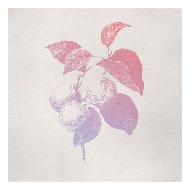 Billeder lyserød Modern Vintage Botanik Peach Light Pink Violet