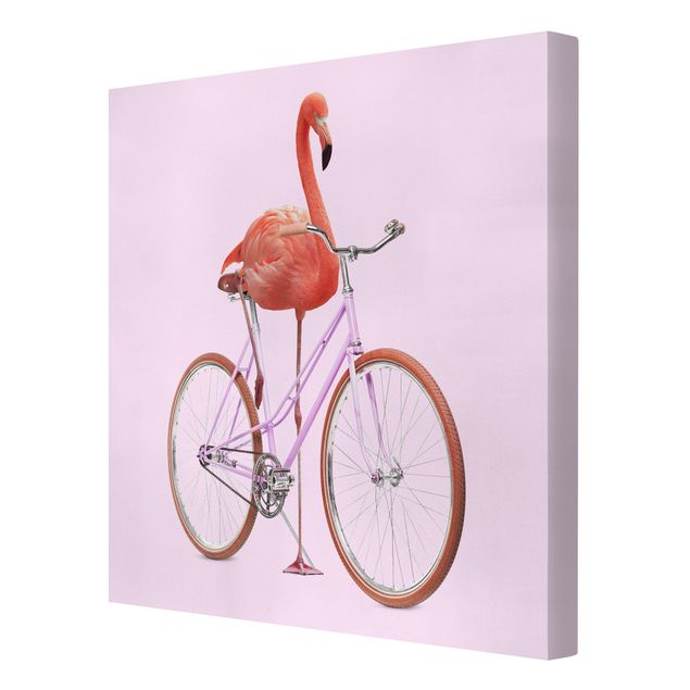 Billeder lyserød Flamingo With Bicycle