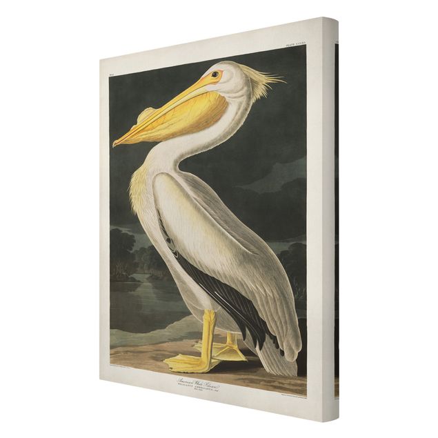 Billeder gul Vintage Board White Pelican