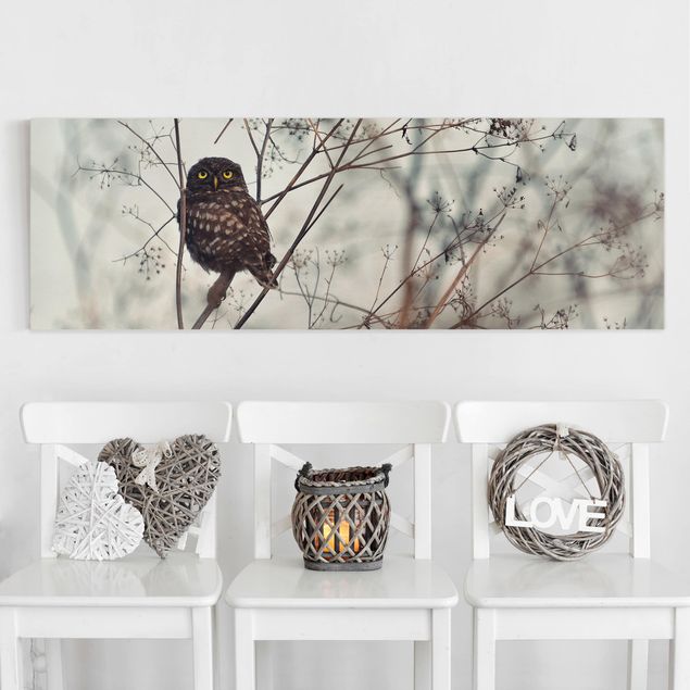 køkken dekorationer Owl In The Winter