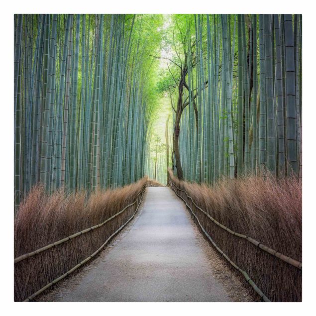 Billeder på lærred arkitektur og skyline The Path Through The Bamboo