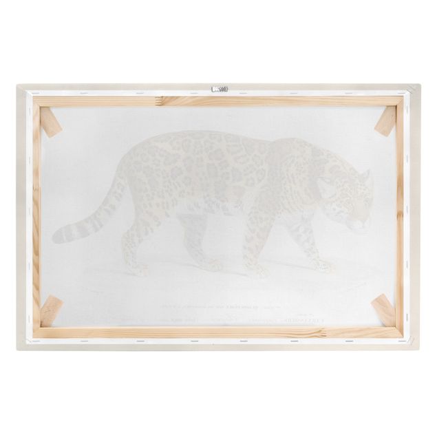 Billeder på lærred dyr Vintage Board Jaguar