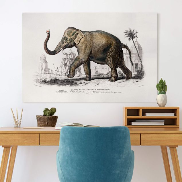 Billeder på lærred elefanter Vintage Board Elephant