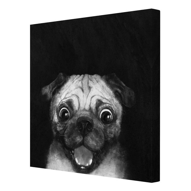 Billeder kunsttryk Illustration Dog Pug Painting On Black And White