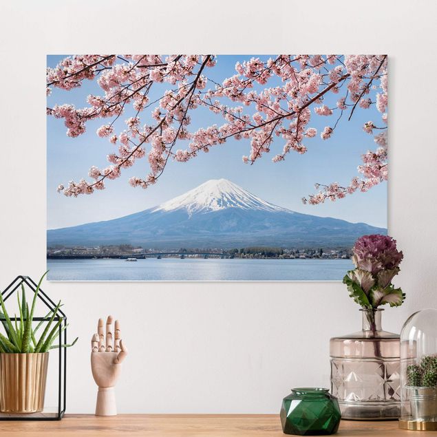 Billeder Asien Cherry Blossoms With Mt. Fuji
