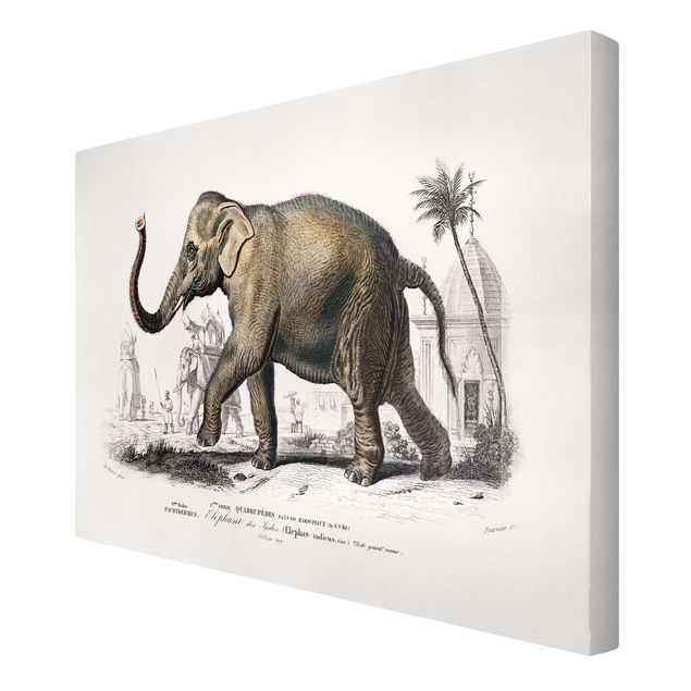 Billeder på lærred vintage Vintage Board Elephant