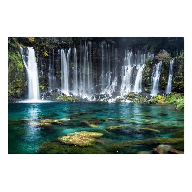 Billeder træer Shiraito Waterfall