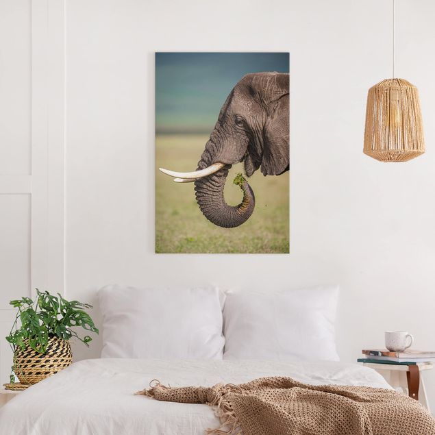 køkken dekorationer Feeding Elephants In Africa