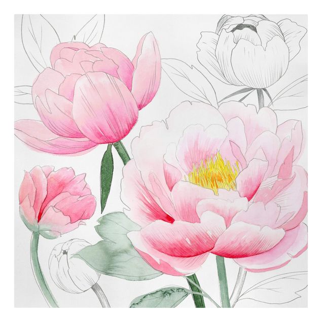 Billeder blomster Drawing Light Pink Peonies