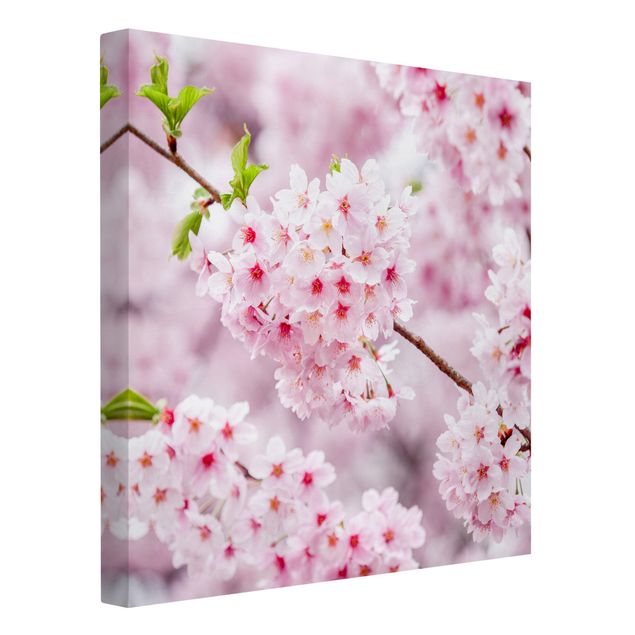 Billeder på lærred arkitektur og skyline Japanese Cherry Blossoms