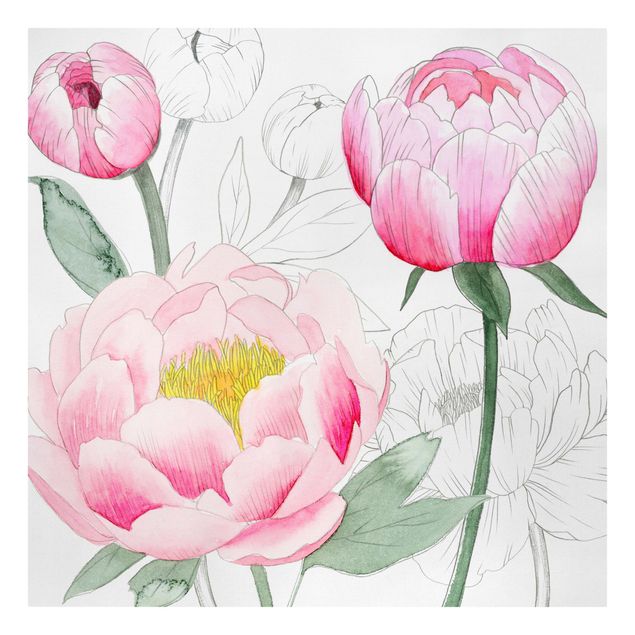 Billeder blomster Drawing Light Pink Peonies II