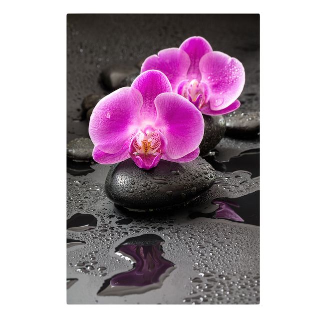 Billeder på lærred blomster Pink Orchid Flower On Stones With Drops