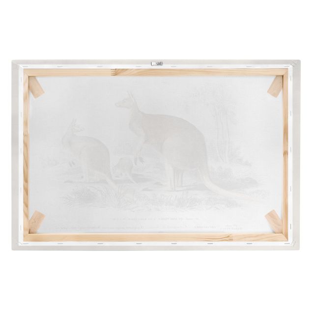 Billeder brun Vintage Board Kangaroo