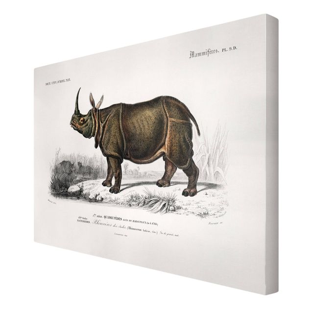 Billeder på lærred dyr Vintage Board Rhino