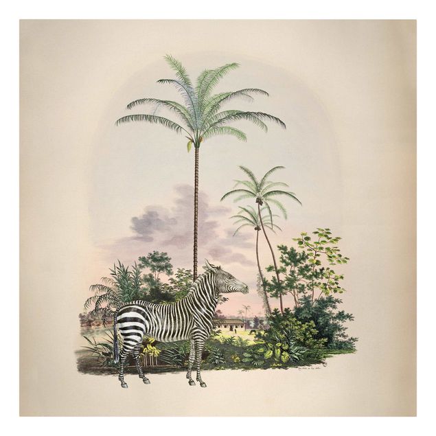 Billeder landskaber Zebra Front Of Palm Trees Illustration
