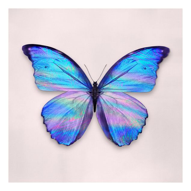 Billeder på lærred kunsttryk Holographic Butterfly
