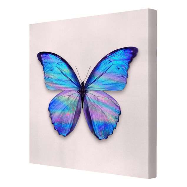 Billeder kunsttryk Holographic Butterfly