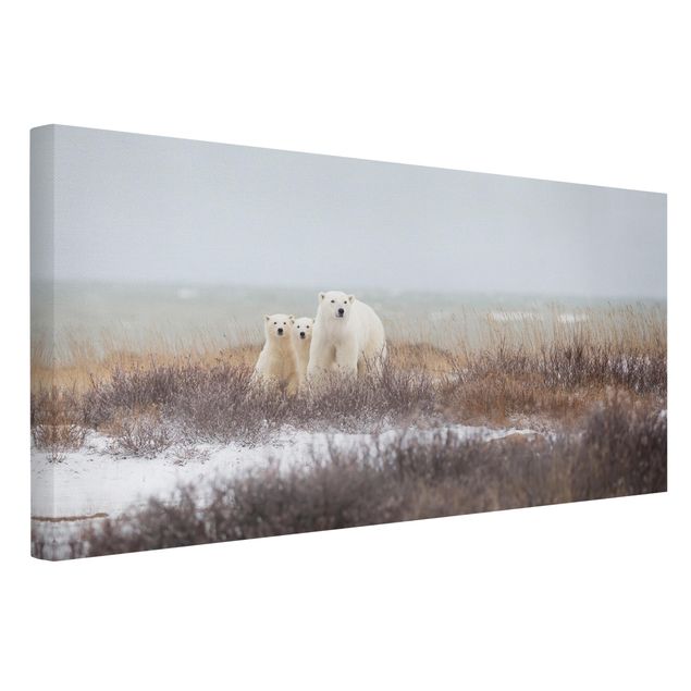 Billeder moderne Polar Bear And Her Cubs