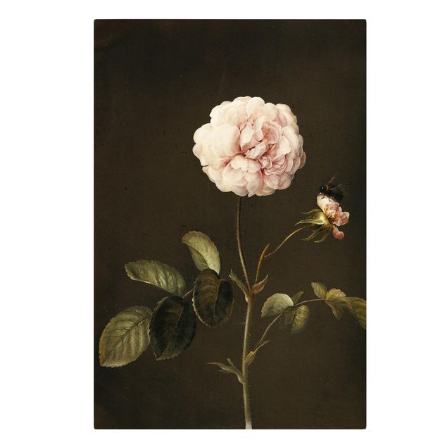 Billeder blomster Barbara Regina Dietzsch - French Rose With Bumblbee