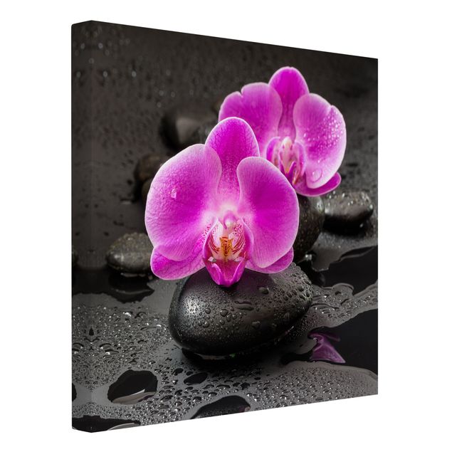 Billeder på lærred stenlook Pink Orchid Flower On Stones With Drops
