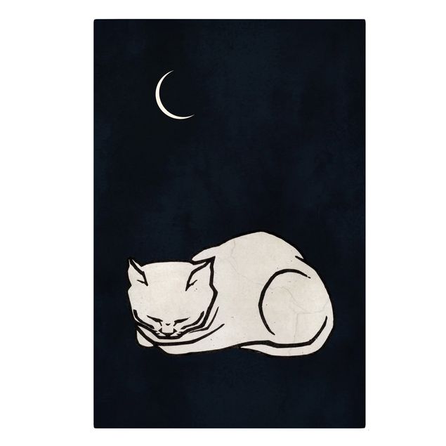 Billeder på lærred kunsttryk Sleeping Cat Illustration