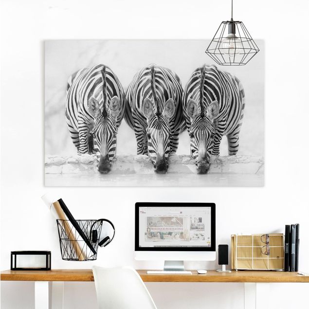 køkken dekorationer Zebra Trio In Black And White