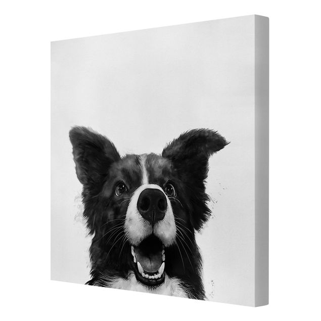 Billeder kunsttryk Illustration Dog Border Collie Black And White Painting