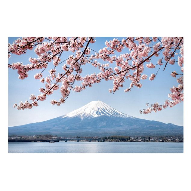 Billeder bjerge Cherry Blossoms With Mt. Fuji