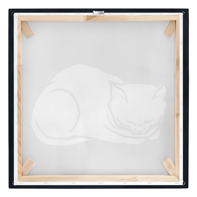 Billeder sort og hvid Sleeping Cat Illustration