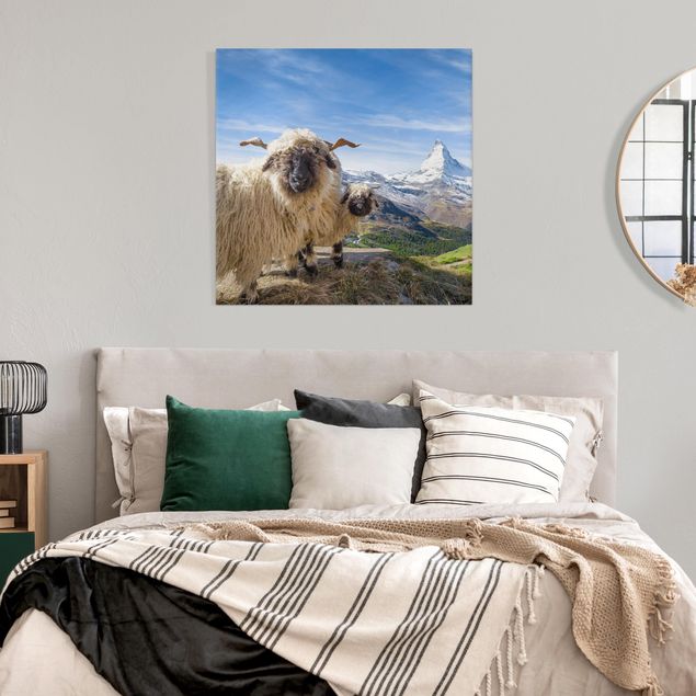 Billeder på lærred bjerge Blacknose Sheep Of Zermatt