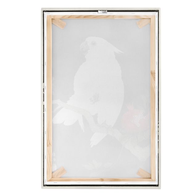 Billeder sort og hvid Asian Vintage Illustration White Cockatoo