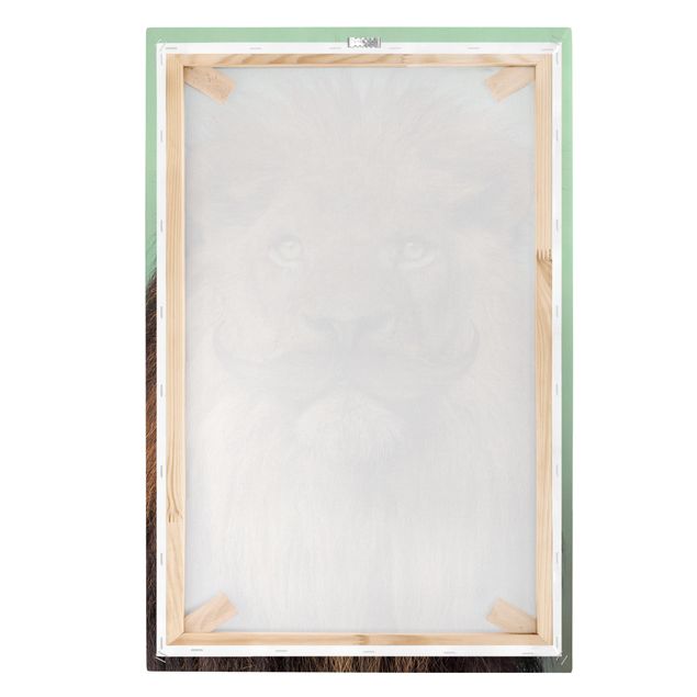 Billeder på lærred dyr Lion With Beard
