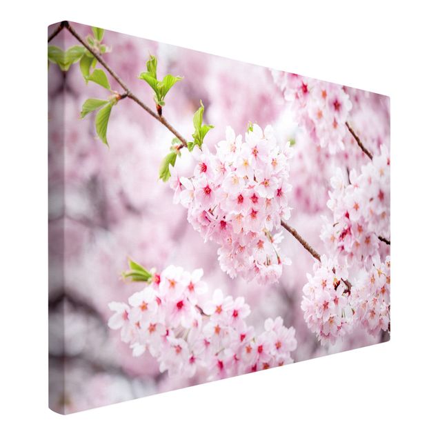 Billeder på lærred arkitektur og skyline Japanese Cherry Blossoms