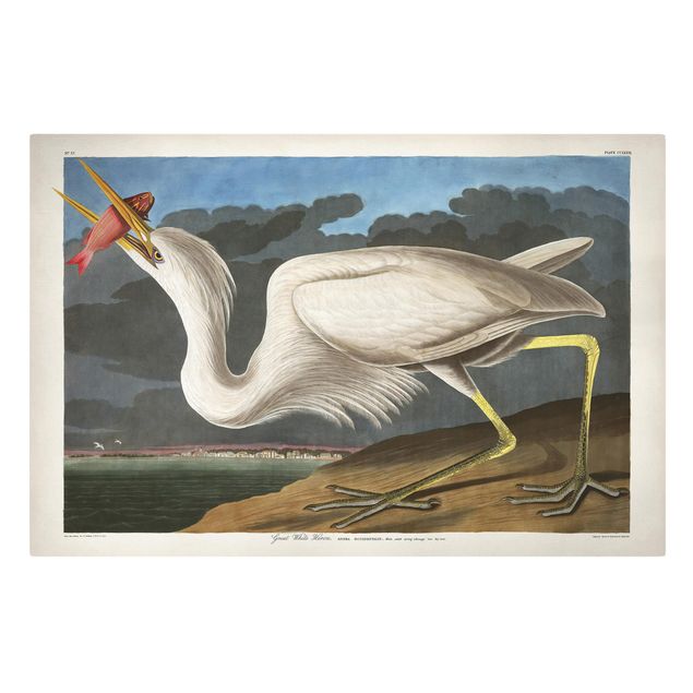 Billeder på lærred vintage Vintage Board Great White Egret