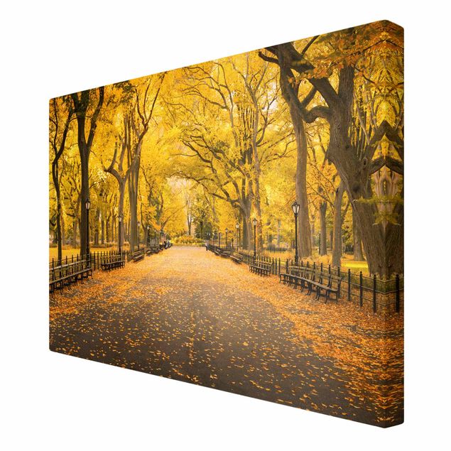 Billeder moderne Autumn In Central Park