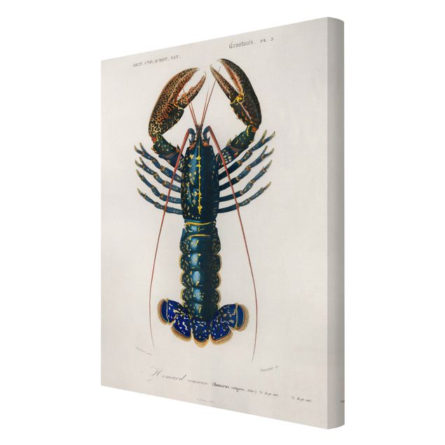 Billeder Vintage Board Blue Lobster