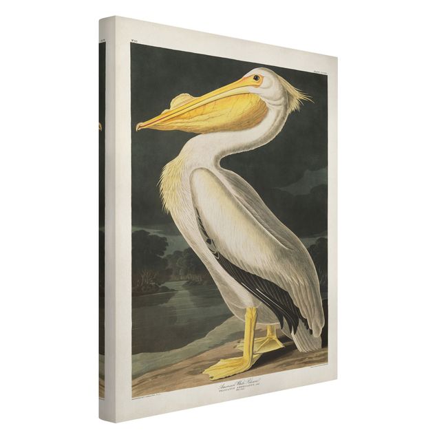 Billeder på lærred dyr Vintage Board White Pelican