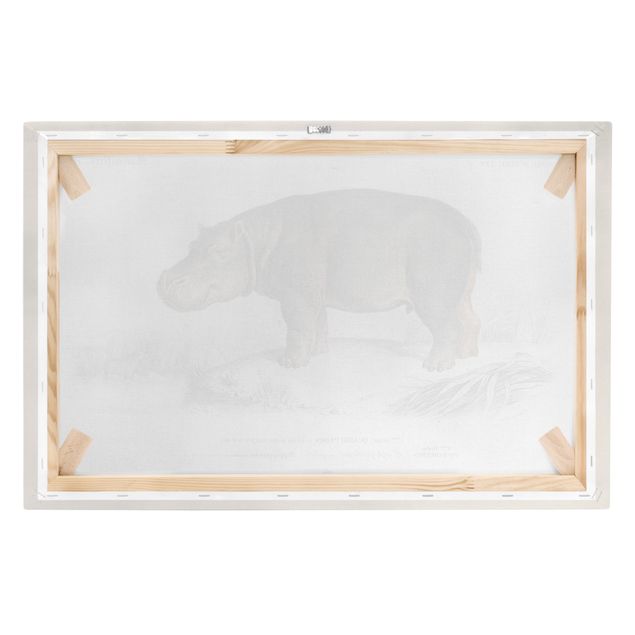 Billeder på lærred vintage Vintage Board Hippo