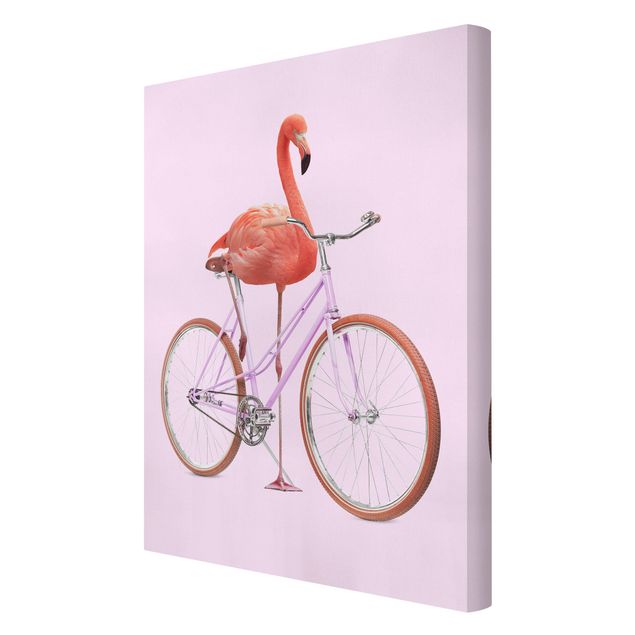 Billeder lyserød Flamingo With Bicycle