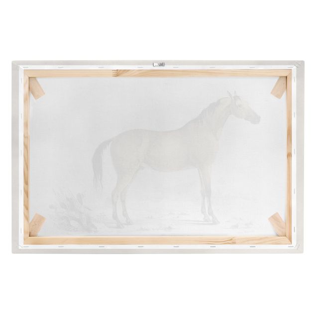 Billeder gul Vintage Board Horse