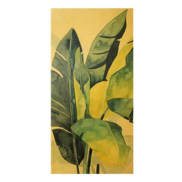 Billeder grøn Tropical Foliage - Banana