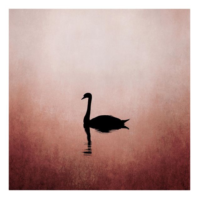 Billeder på lærred kunsttryk Swan In Sunset