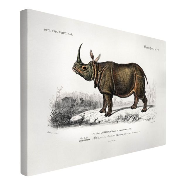 Billeder på lærred landskaber Vintage Board Rhino