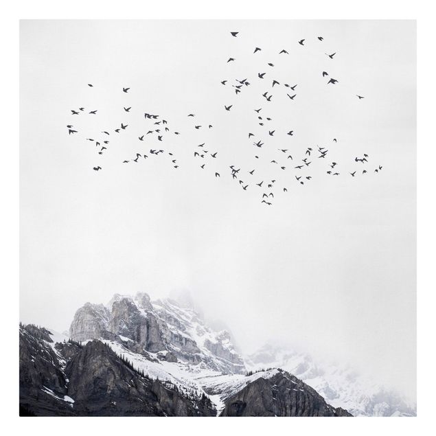 Billeder landskaber Flock Of Birds In Front Of Mountains Black And White