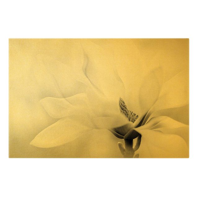 Billeder på lærred guld Delicate Magnolia Flowers Black and White