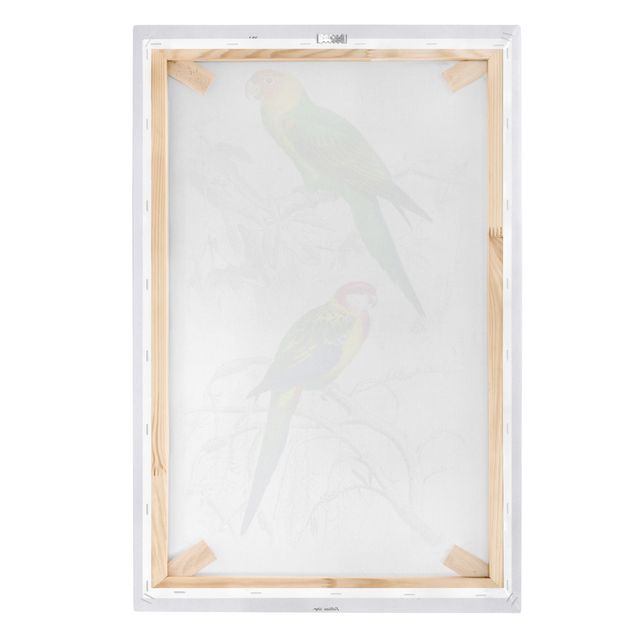 Billeder Vintage Wall Chart Two Parrots Green Red