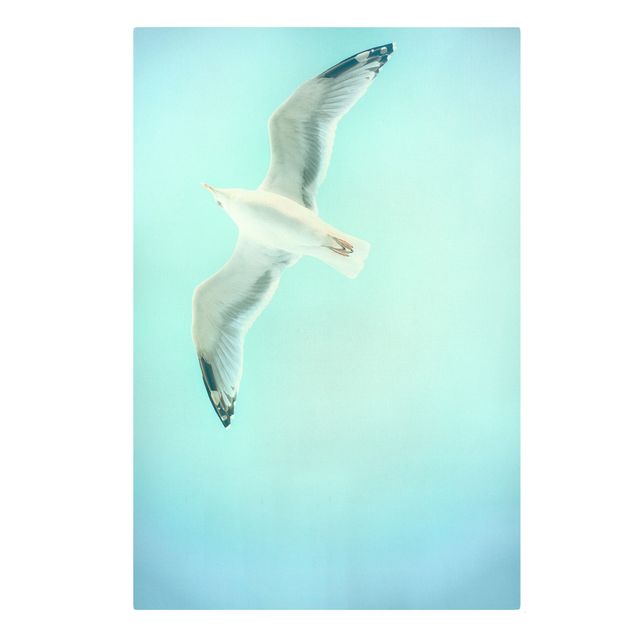 Billeder på lærred dyr Blue Sky With Seagull