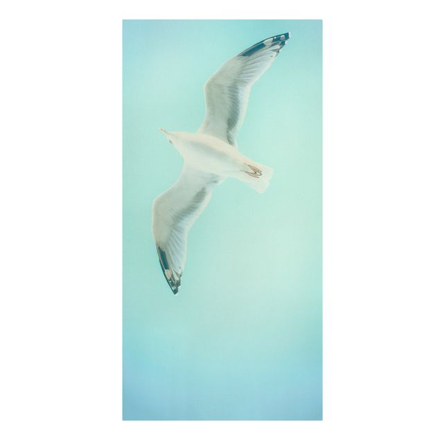 Billeder på lærred dyr Blue Sky With Seagull
