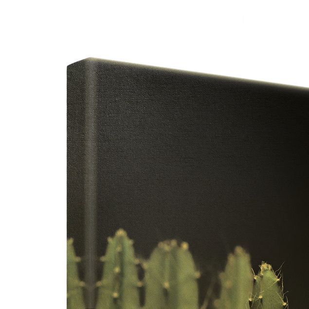 Billeder på lærred guld Desert Cactus At Night